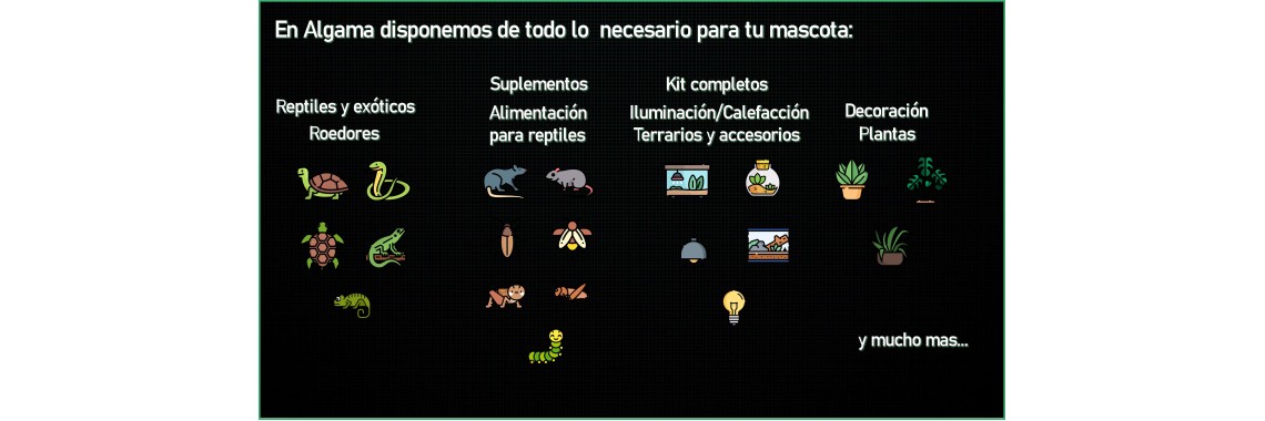 Terrarios y accesorios